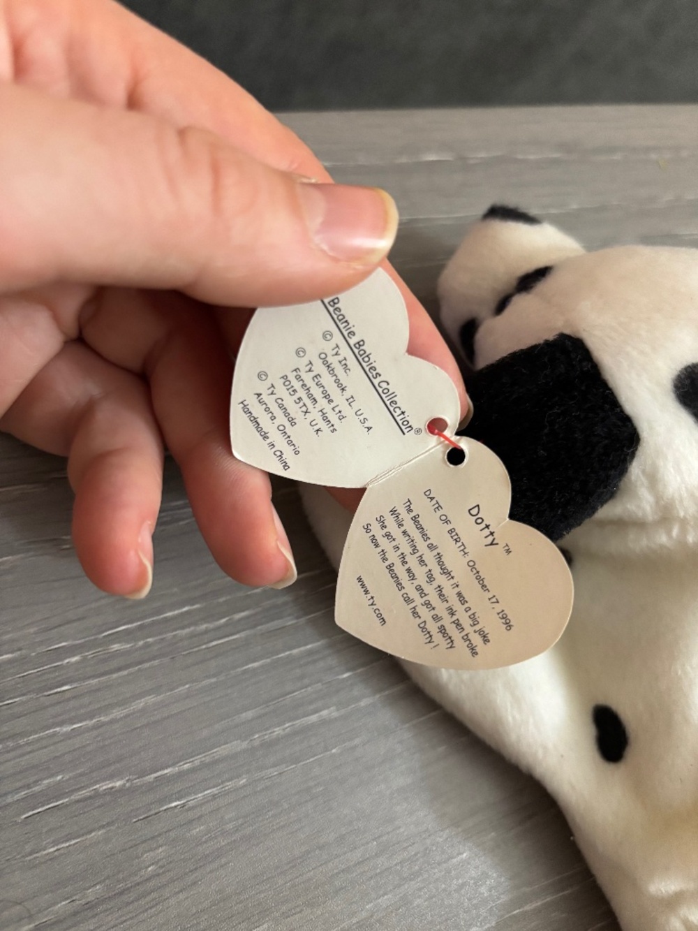 TY beanie baby dog Dotty